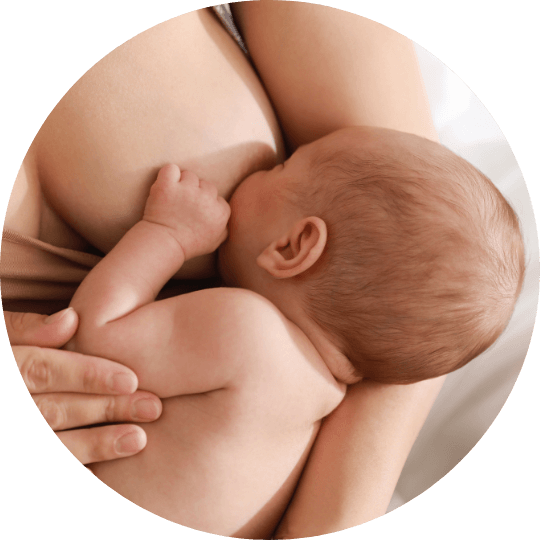 alaptarea-2024_cuprins